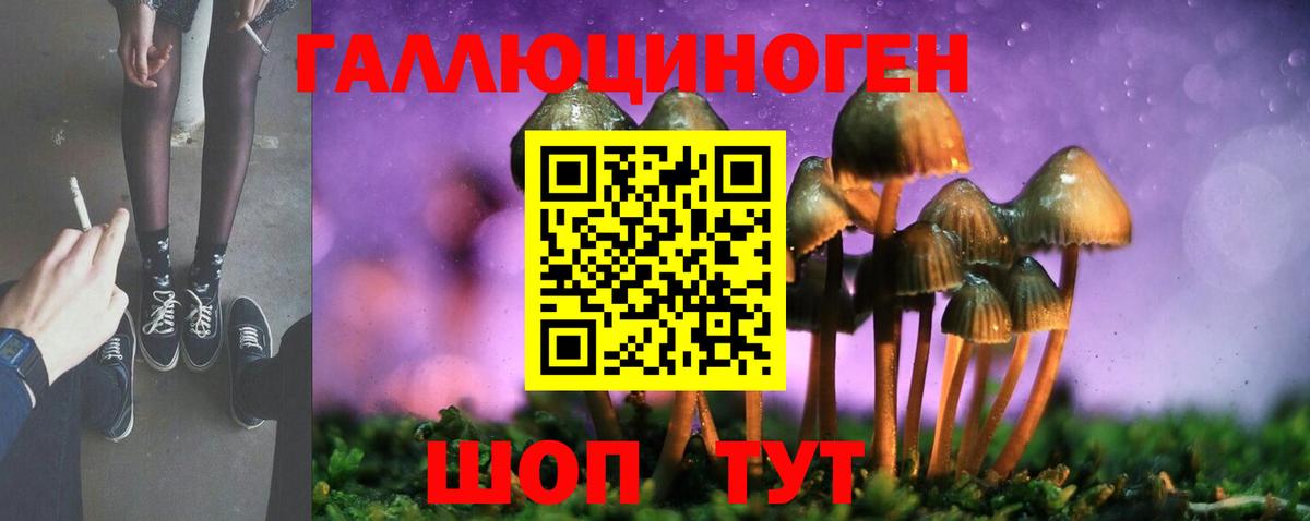 Псилоцибиновые грибы GOLDEN TEACHER  Вход с VPN  цена наркотик  Качканар 